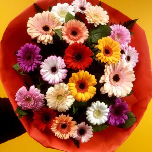 Boeket Gerbera Gemengd