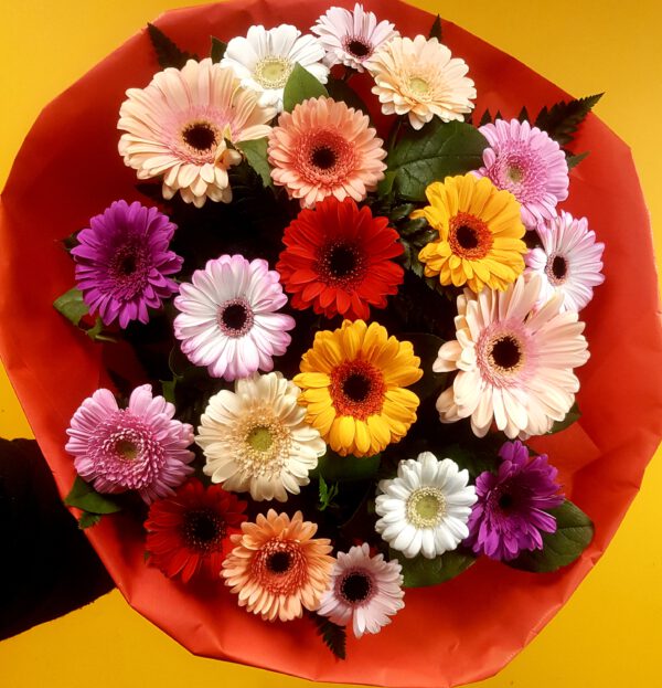 Boeket Gerbera Gemengd