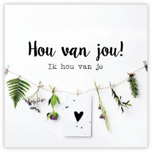 Hou van jou!