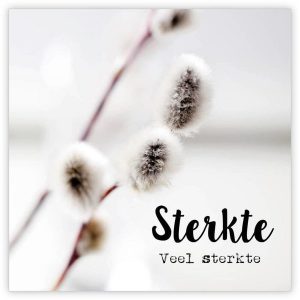 Sterkte