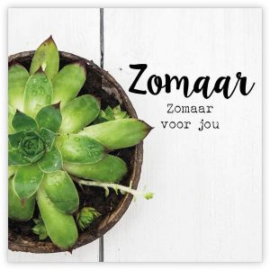 Zomaar