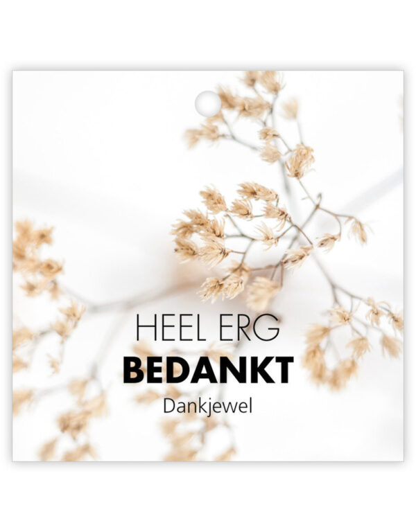 Bedankt.