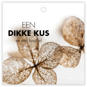 Dikke kus