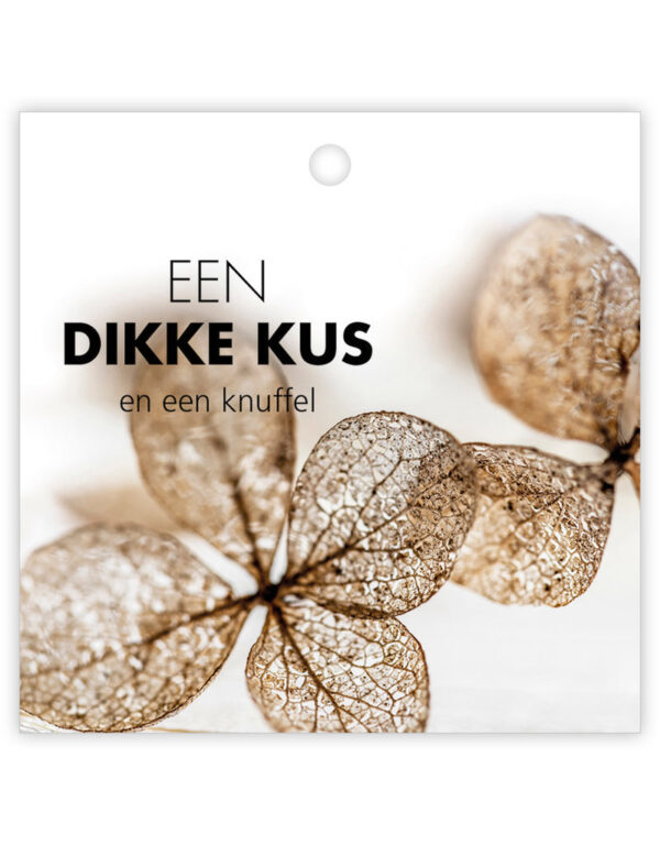 Dikke kus