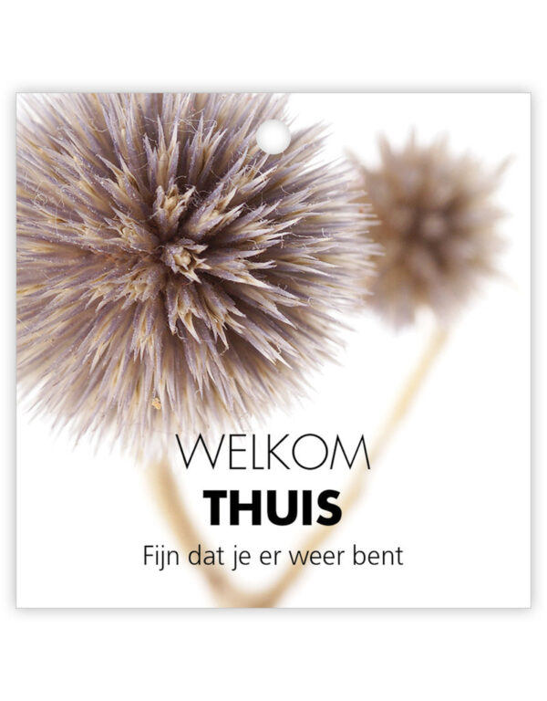 Welkom Thuis